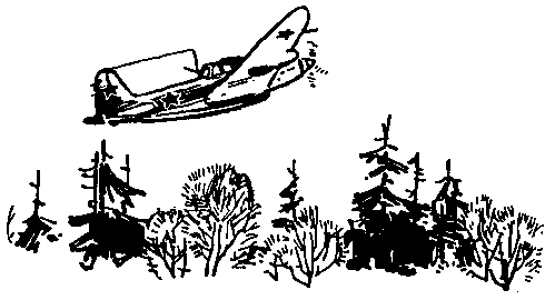 Юрка Гусь (с илл.) pic_13.png