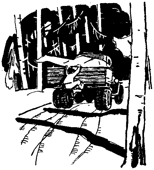 Юрка Гусь (с илл.) pic_17.png