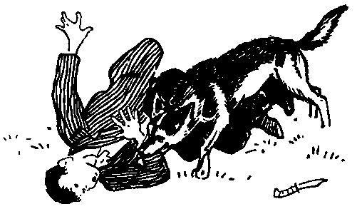 Юрка Гусь (с илл.) pic_23.png