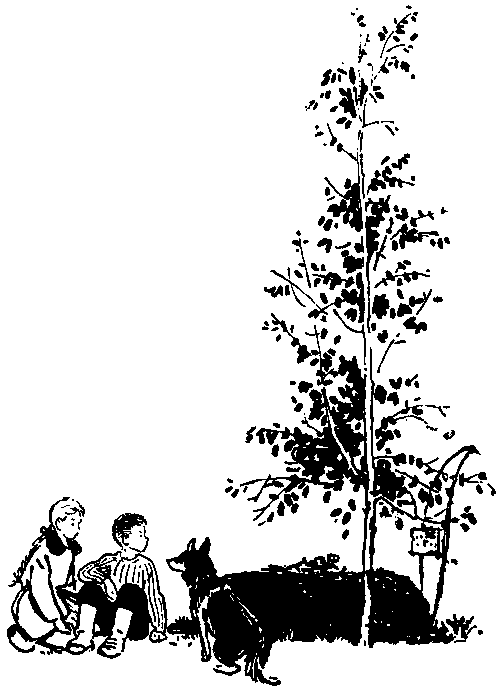 Юрка Гусь (с илл.) pic_24.png