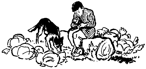 Юрка Гусь (с илл.) pic_31.png