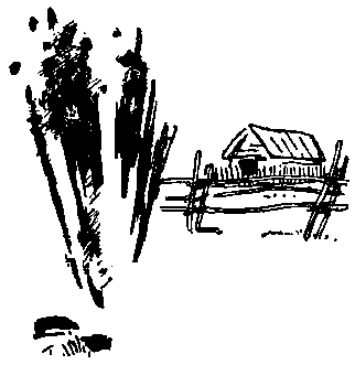 Юрка Гусь (с илл.) pic_33.png