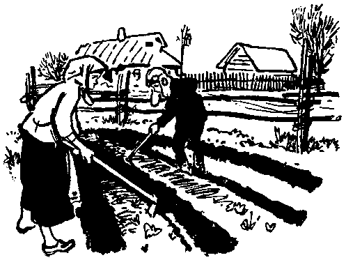 Юрка Гусь (с илл.) pic_37.png