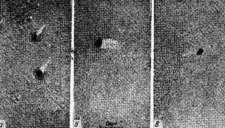 Серебристые облака и их наблюдение _32.jpg_0