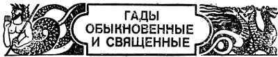 Животные, приметы и предрассудки _06.jpg