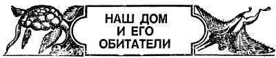 Животные, приметы и предрассудки _02.jpg
