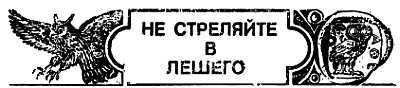 Животные, приметы и предрассудки _16.jpg