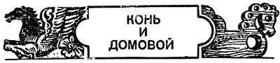 Животные, приметы и предрассудки _17.jpg