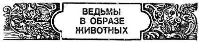 Животные, приметы и предрассудки _18.jpg