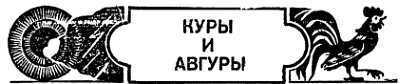 Животные, приметы и предрассудки _21.jpg