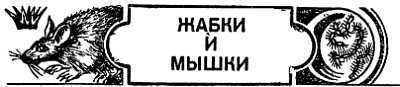 Животные, приметы и предрассудки _22.jpg