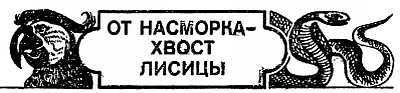 Животные, приметы и предрассудки _23.jpg