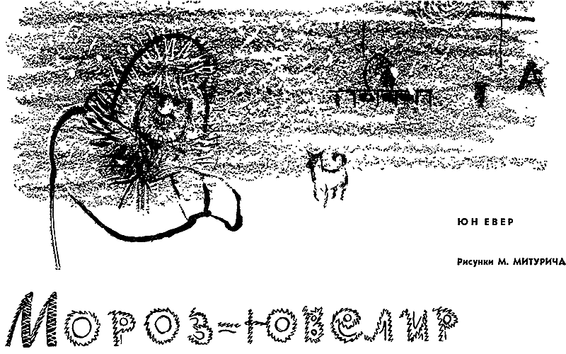 Мороз-ювелир i_001.png