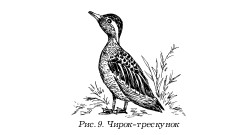 Охота по перу i_009.jpg