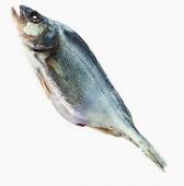 Тестовый документ FictionBook 2.1 fish.jpg