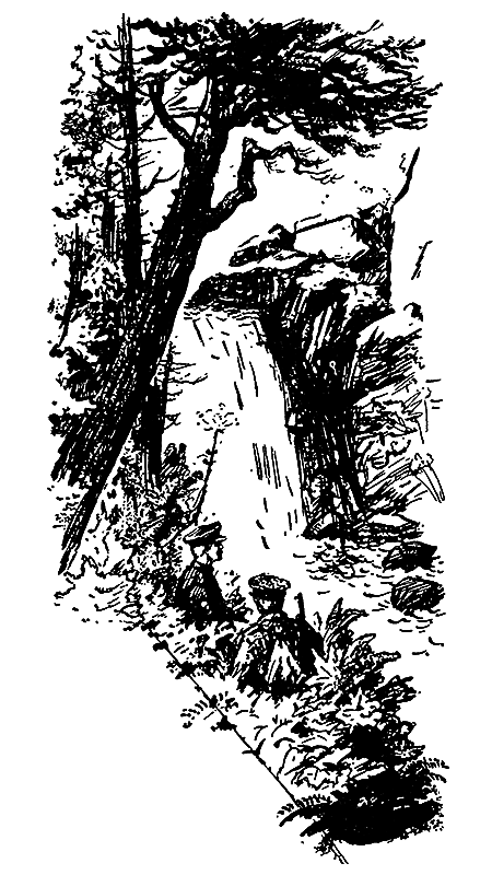 Экзамен на зрелость i_003.png