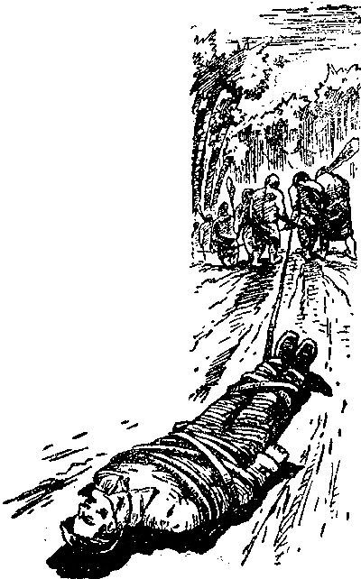 На оранжевой планете (с илл.) i_006.png