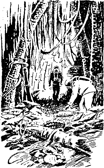На оранжевой планете (с илл.) i_003.png