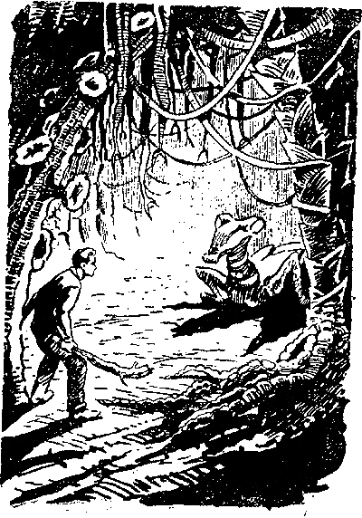 На оранжевой планете (с илл.) i_007.png