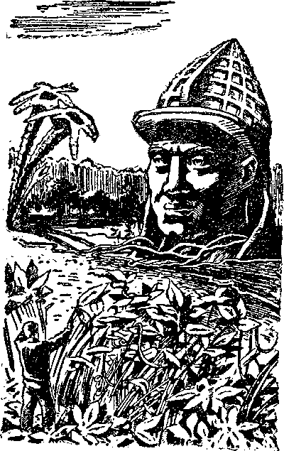На оранжевой планете (с илл.) i_015.png