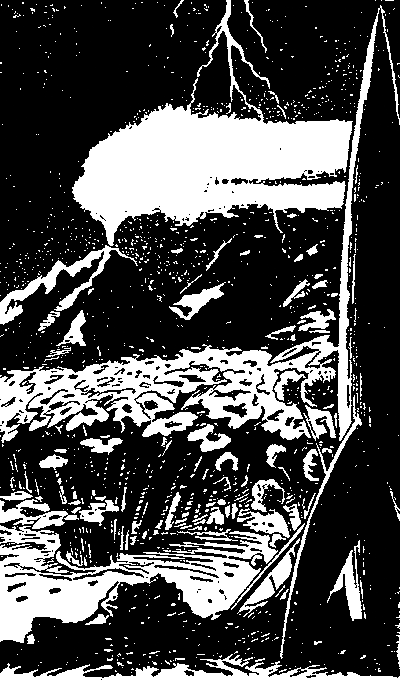 На оранжевой планете (с илл.) i_018.png