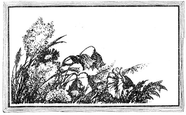 Война Виллу i_003.jpg
