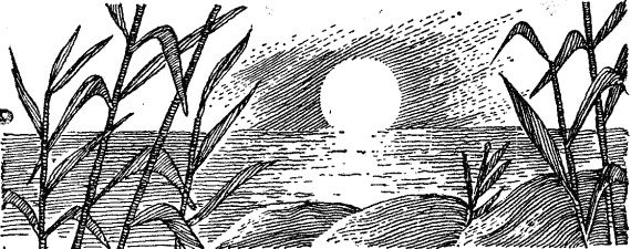 Один на один pic12.png