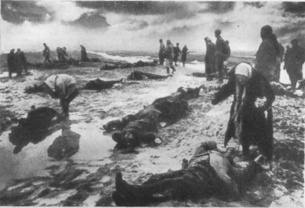 Разные дни войны. Дневник писателя, т.2. 1942-1945 годы i_012.jpg