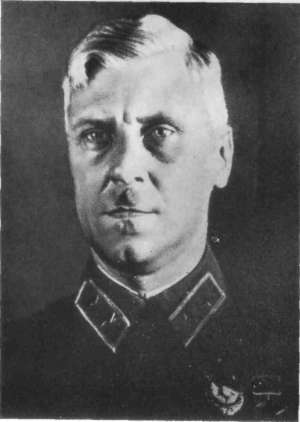 Разные дни войны. Дневник писателя, т.2. 1942-1945 годы i_013.jpg