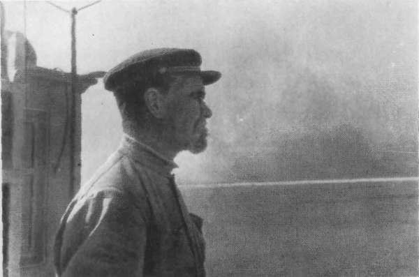 Разные дни войны. Дневник писателя, т.2. 1942-1945 годы i_020.jpg