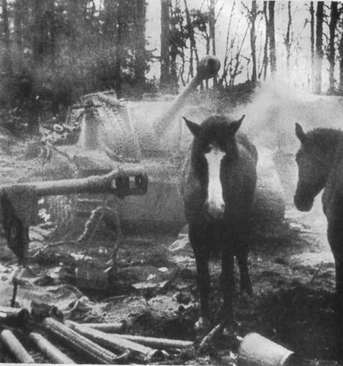 Разные дни войны. Дневник писателя, т.2. 1942-1945 годы i_087.jpg