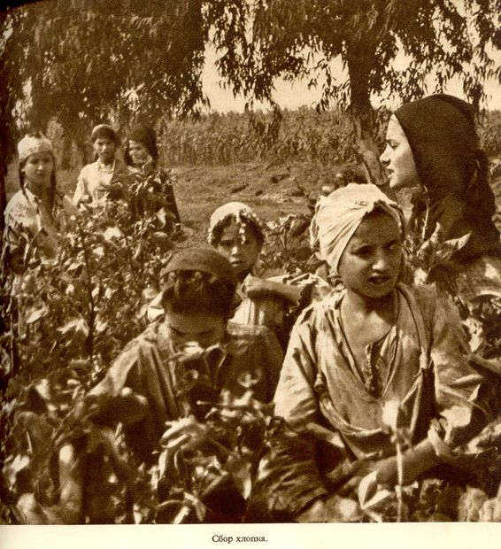 Африка грёз и действительности (Том 1, все фотографии) i_085.jpg