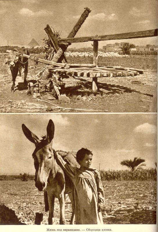 Африка грёз и действительности (Том 1, все фотографии) i_088.jpg