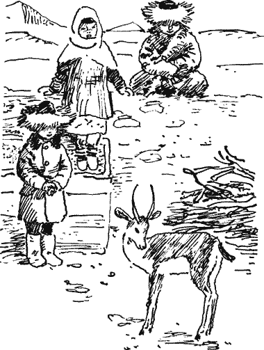 Гость из пустыни Novos132.png
