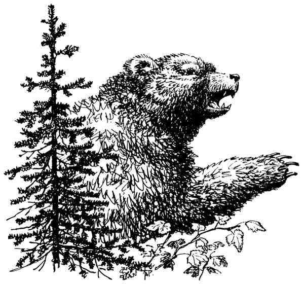 Один сезон в тайге i_035.jpg
