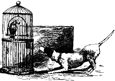 Хруп. Воспоминания крысы-натуралиста (с илл.) i_067.png