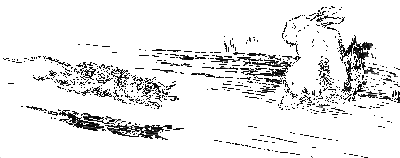 Хруп. Воспоминания крысы-натуралиста (с илл.) i_074.png