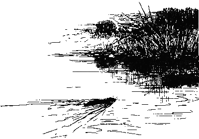 Хруп. Воспоминания крысы-натуралиста (с илл.) i_075.png