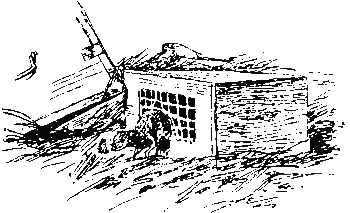 Хруп. Воспоминания крысы-натуралиста (с илл.) i_125.png
