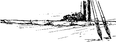Хруп. Воспоминания крысы-натуралиста (с илл.) i_205.png