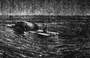 Хруп. Воспоминания крысы-натуралиста (с илл.) i_215.png