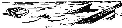 Хруп. Воспоминания крысы-натуралиста (с илл.) i_219.png