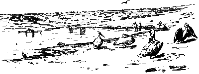 Хруп. Воспоминания крысы-натуралиста (с илл.) i_222.png