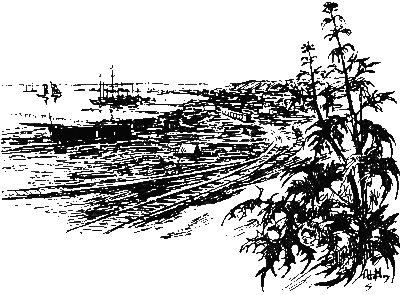 Хруп. Воспоминания крысы-натуралиста (с илл.) i_227.png