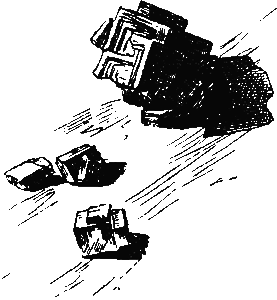 Хруп. Воспоминания крысы-натуралиста (с илл.) i_242.png