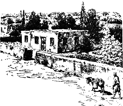 Хруп. Воспоминания крысы-натуралиста (с илл.) i_262.png