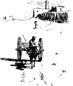 Хруп. Воспоминания крысы-натуралиста (с илл.) i_263.png