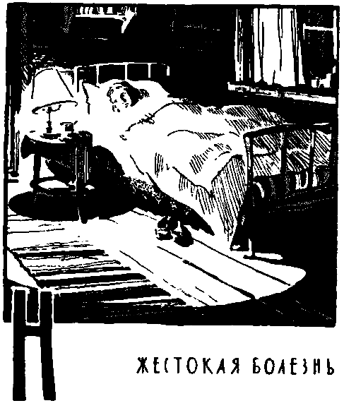 Человек человеку - друг (с илл.) pic_24.png