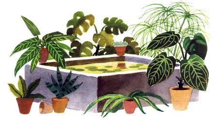 Юг и север i_010.jpg