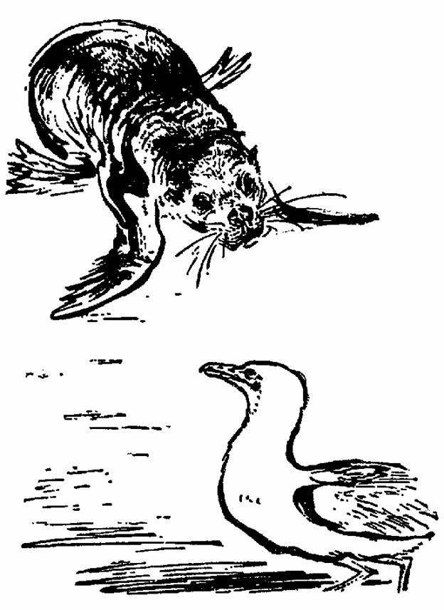 The Whispering Land pic_11.jpg